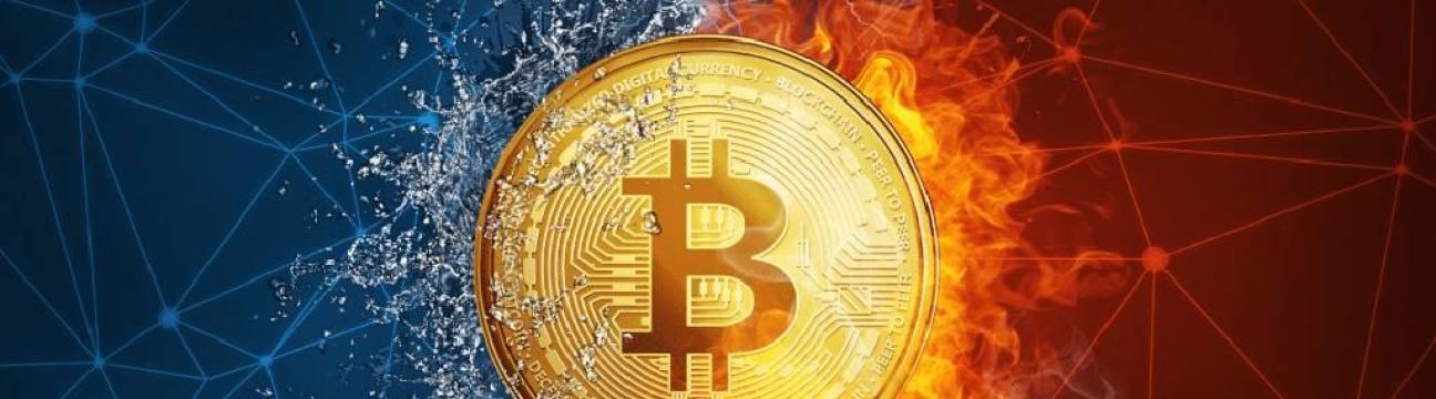 Kraken Wallets Info