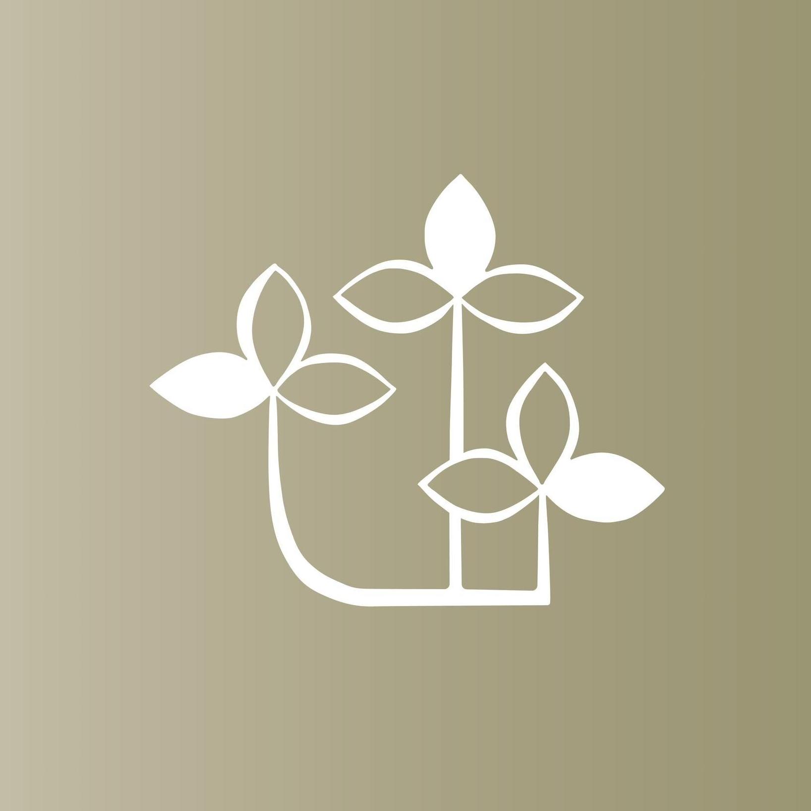 Beas Co A Fashion Brand From Kaia   LLP