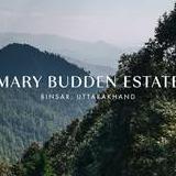 Mary Budden