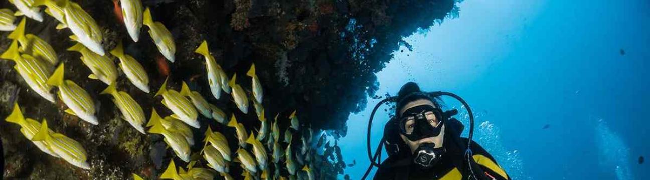Petro Divers
