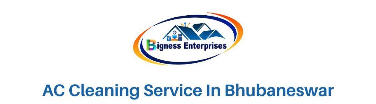 Bigness Enterprises