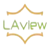 Laview Camera Wifi Setup