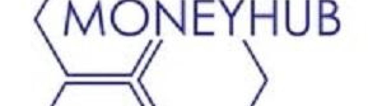 The Money  Hub