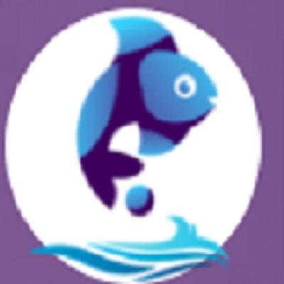 Mobile Application Development By Fish Eye Advertising