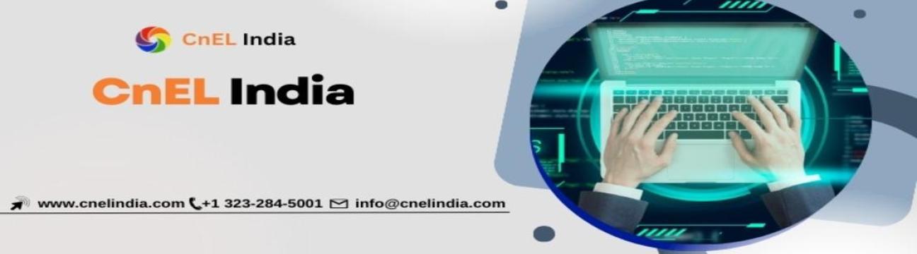 CnEL India