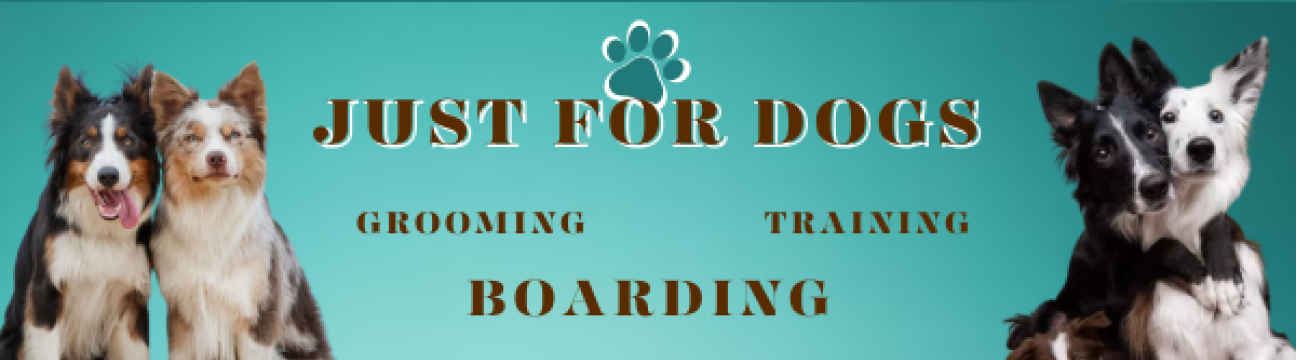 Just For Dogs