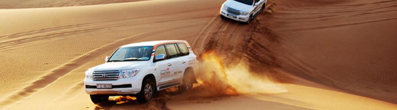 Arabian Desert Safari