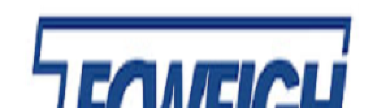 Tecweigh  Continuous 
